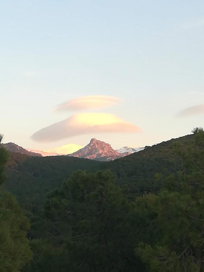 Acogedor Apartamento Privado Con Fantasticas Vistas La Zubia  Exteriör bild